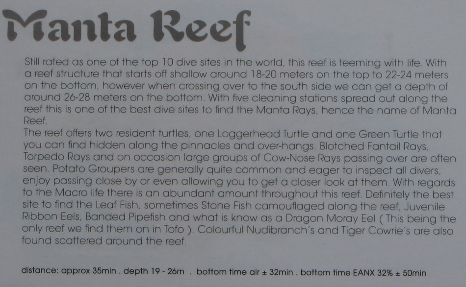 omschrijving duikplaats mozambique tofo manta reef