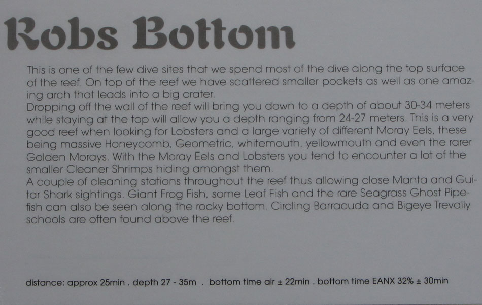 omschrijving duikplaats mozambique tofo robs bottom