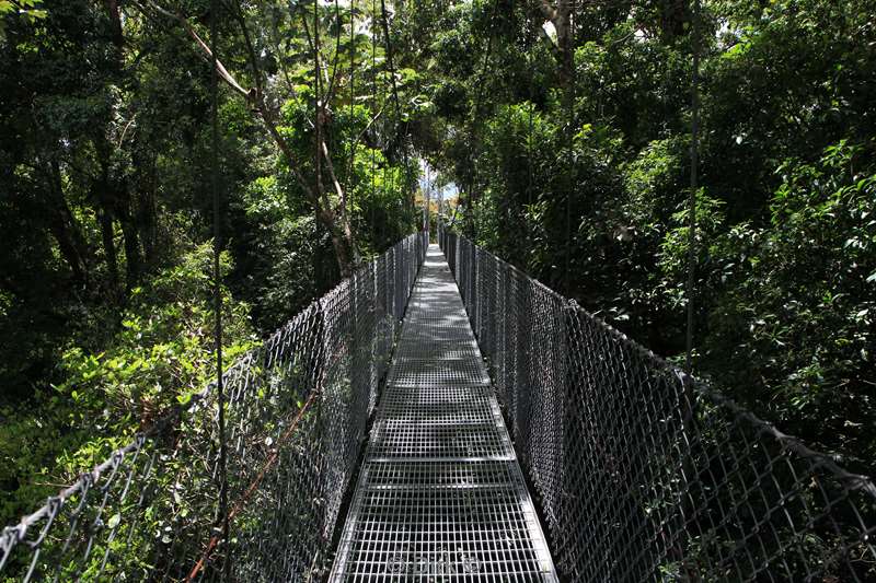 Costa Rica hanging bridges