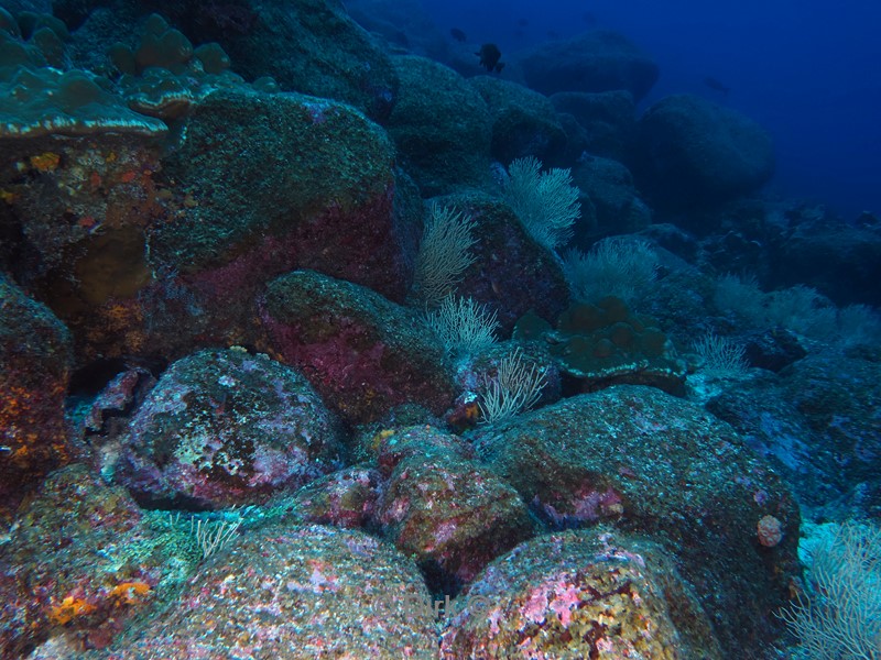 duiken galapagos atoll