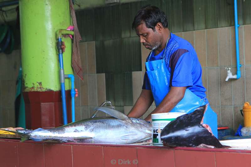 fishmarket in male in the maldives