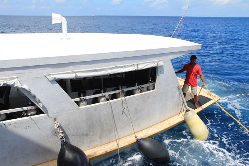 dinghy princess rani in the maldives
