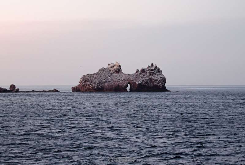 los islotes sea of cortez mexico