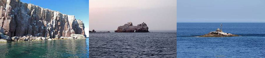 photos la Reina los islotes Sea of Cortez