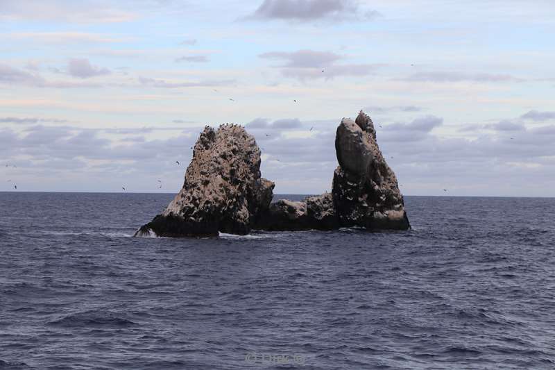duikplaats roca partida mexico