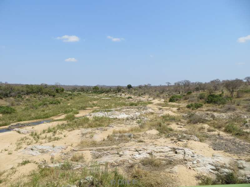 landscape kruger national park south africa