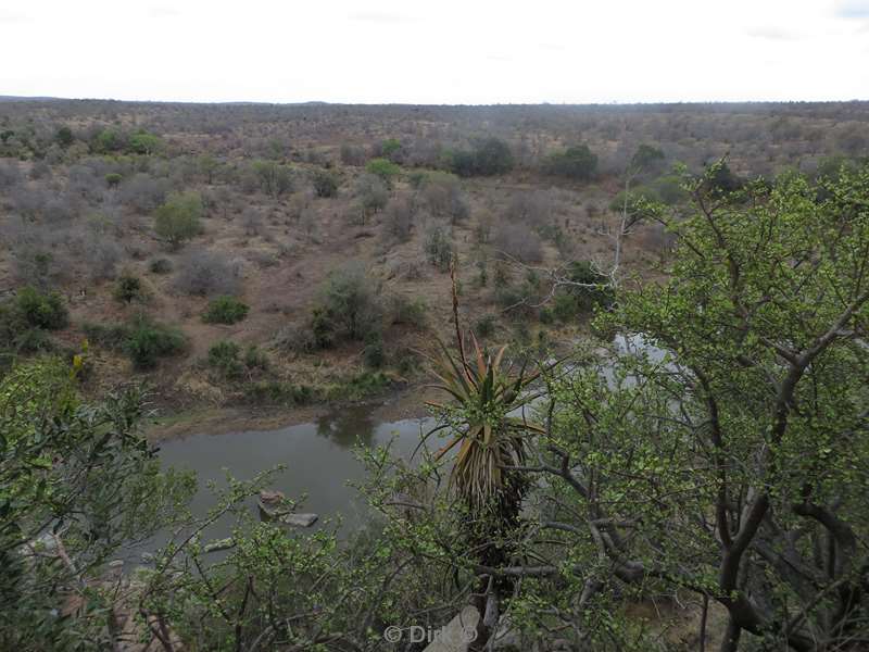 landscape kruger national park south africa