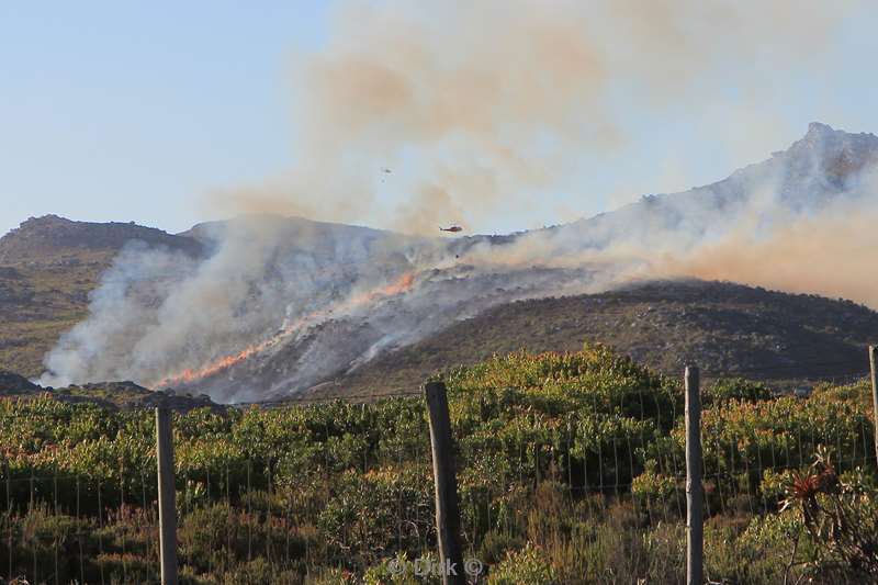 south africa forest fires kaapstad
