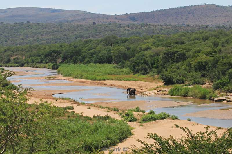 south africa hluluwe elephants