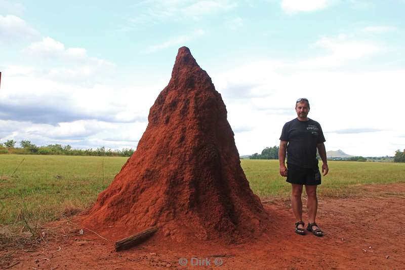swasiland mlilwane wildpark termite hill