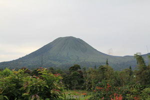 tour sulawesi