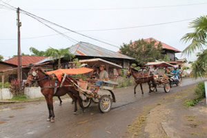 tour sulawesi