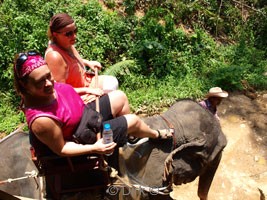 olifant rijden thailand phuket