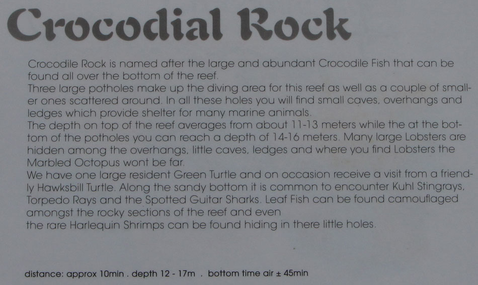 omschrijving duikplaats mozambique tofo crocodial rock