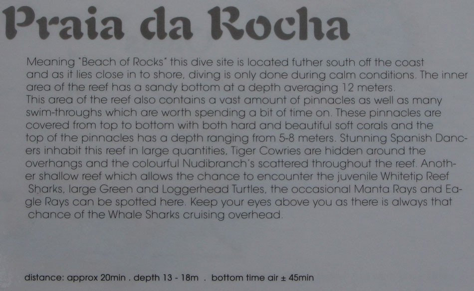 omschrijving duikplaats mozambique tofo praia da rocha