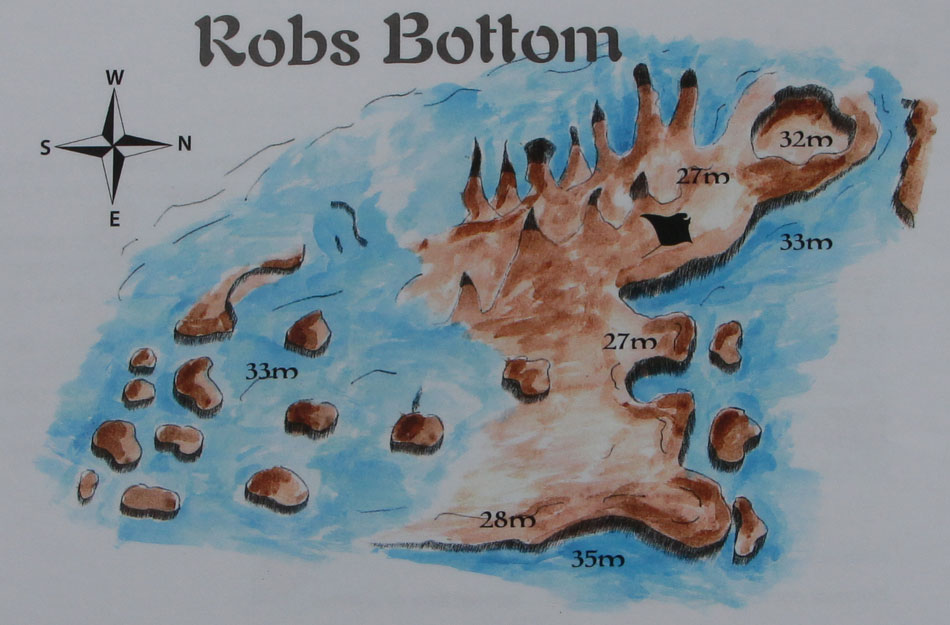 duikplaats mozambique tofo robs bottom