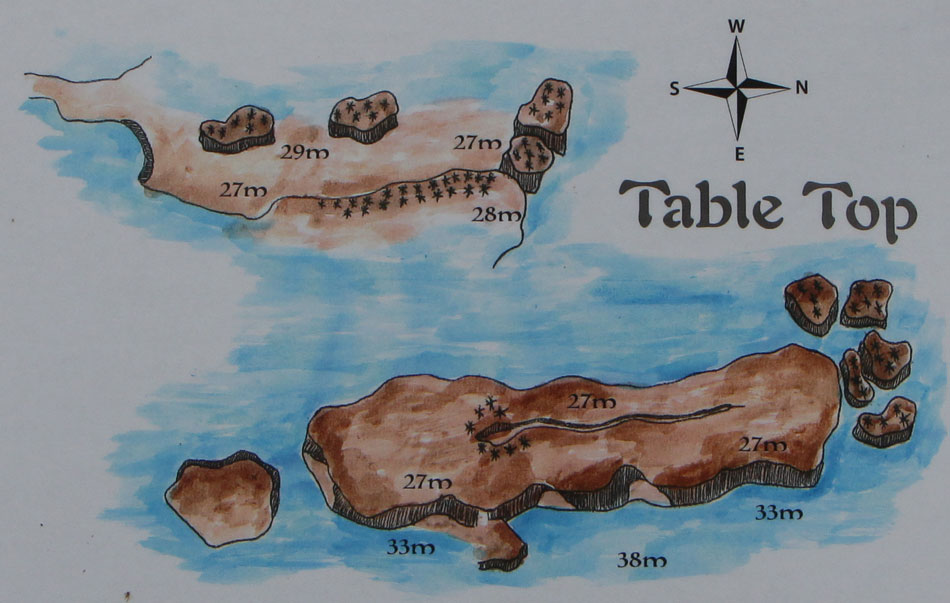 duikplaats mozambique tofo table top