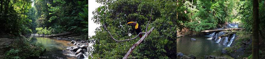 Costa Rica Corcovado natuurreservaat