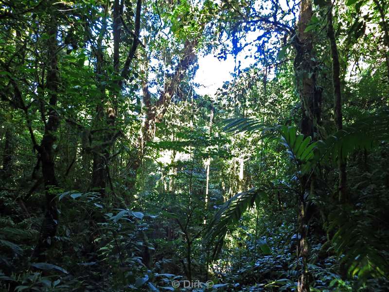 Costa Rica Monteverde Cloud Forest