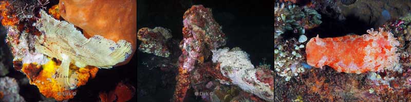 duiken bali tulamben shipwreck USS Liberty