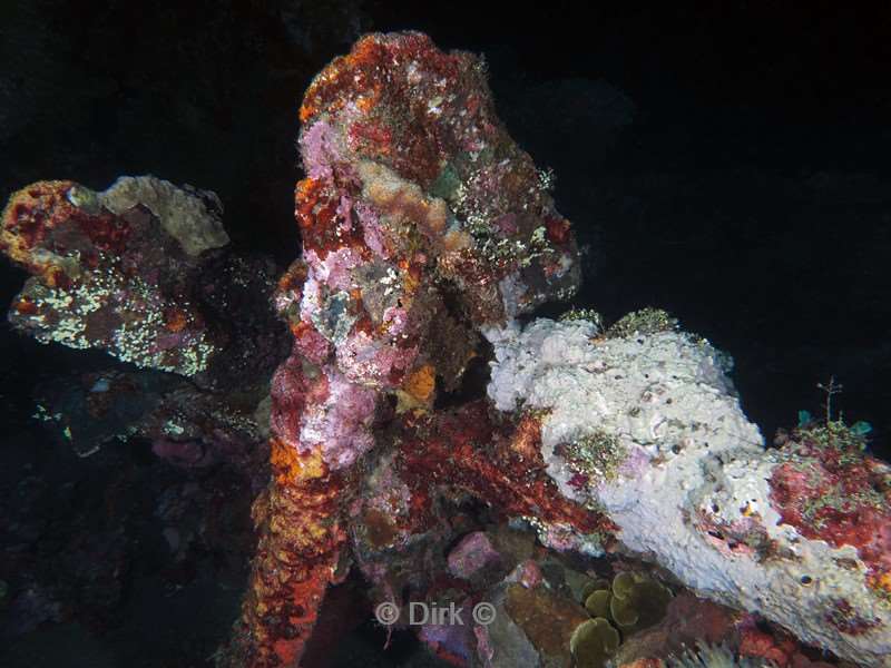 duiken bali tulamben scheepswrak uss liberty