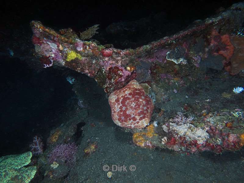 duiken bali tulamben scheepswrak uss liberty