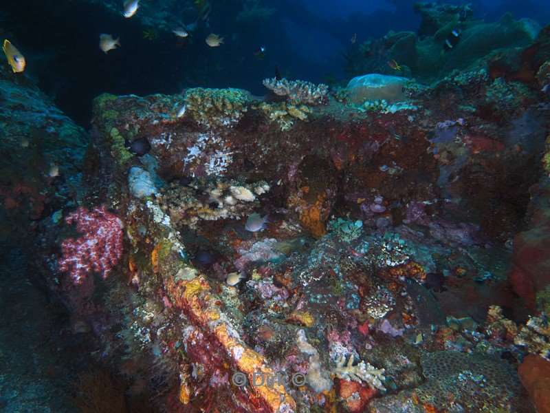 duiken bali tulamben scheepswrak uss liberty