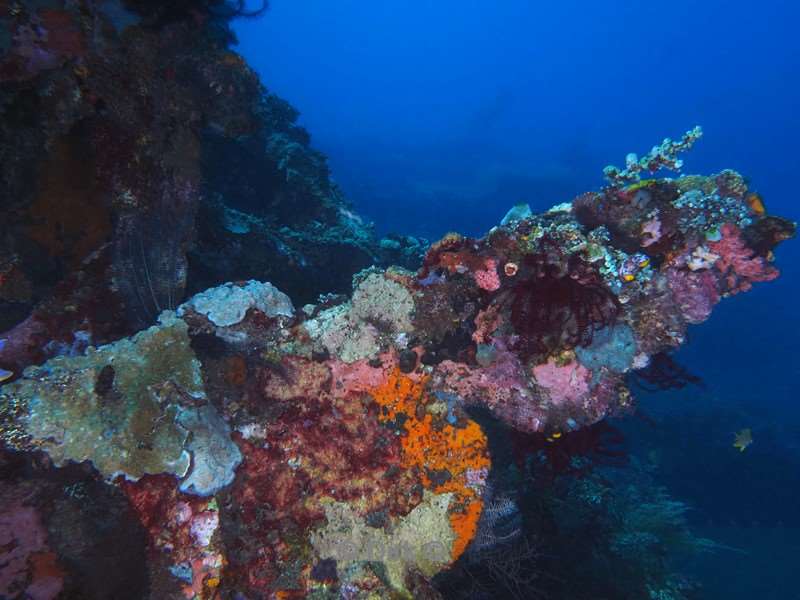 duiken bali tulamben scheepswrak uss liberty