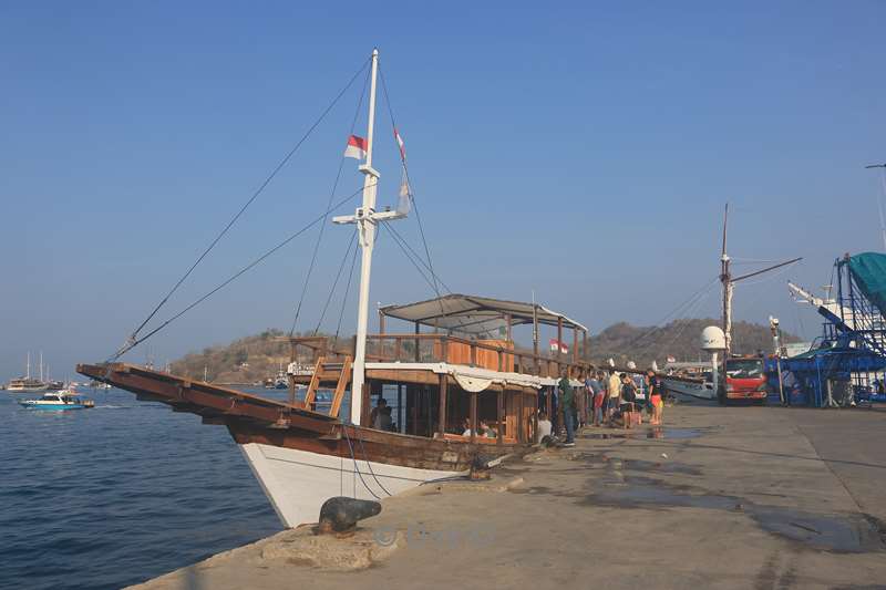 manta rhei dive experience labuan bajo flores