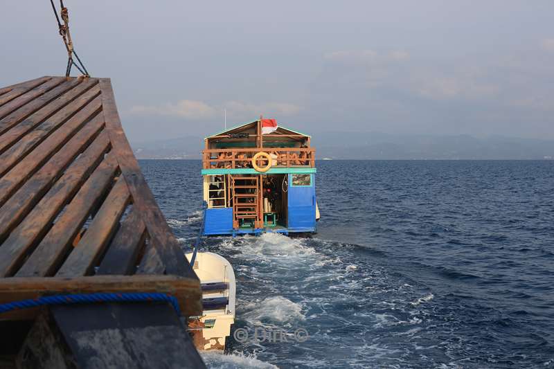 manta rhei dive experience labuan bajo flores