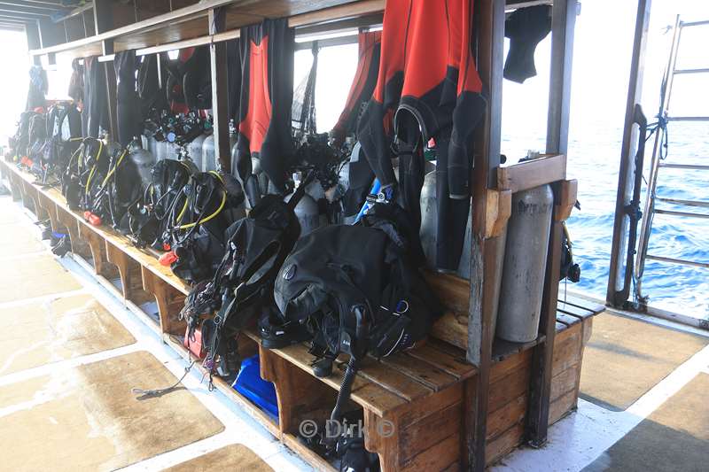 manta rhei dive experience labuan bajo flores