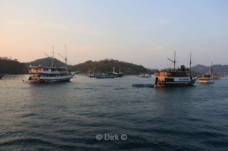 manta rhei dive experience labuan bajo flores