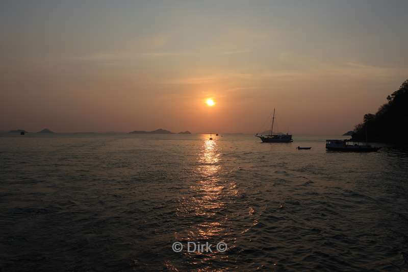 manta rhei dive experience labuan bajo flores