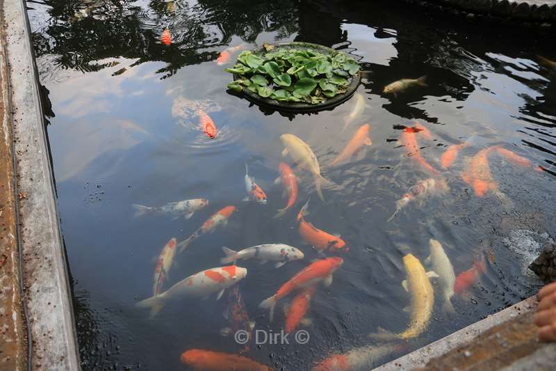 bali hindoe tempel pura puseh