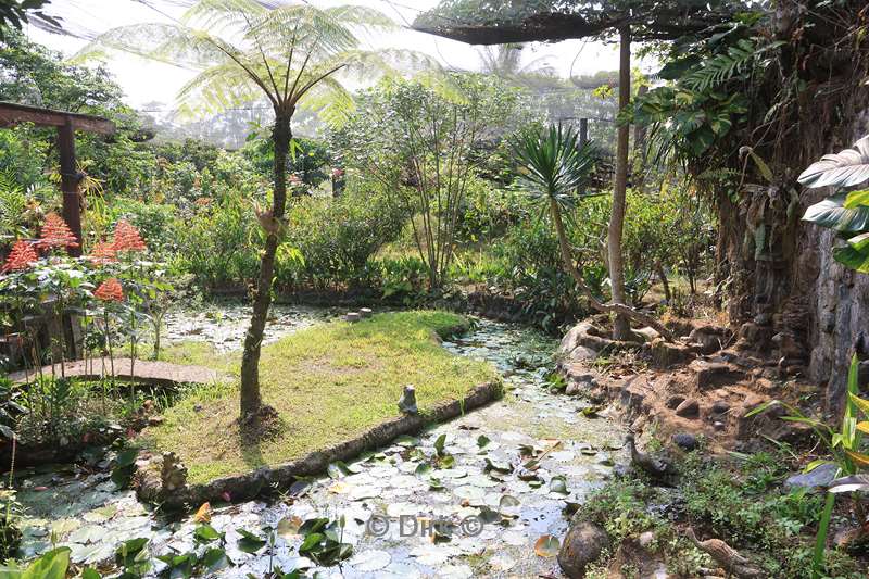 bali vlindertuin tabanan