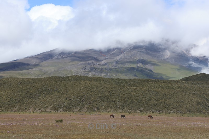 cotapaxi vulkaan quito ecuador