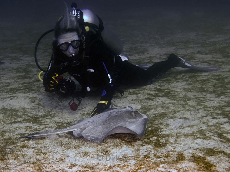 duiken galapagos atoll