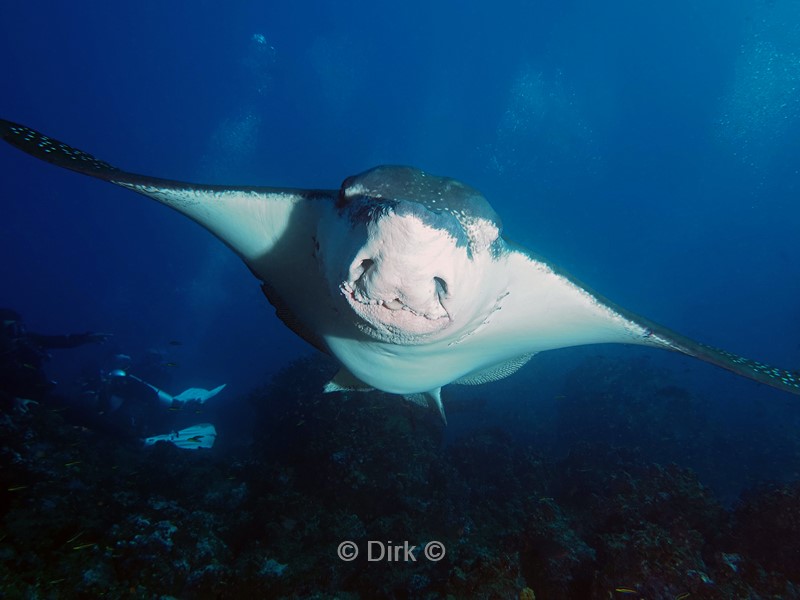 duiken galapagos atoll