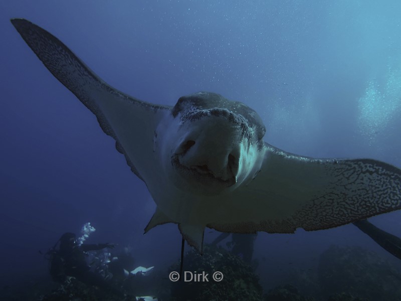 duiken galapagos atoll