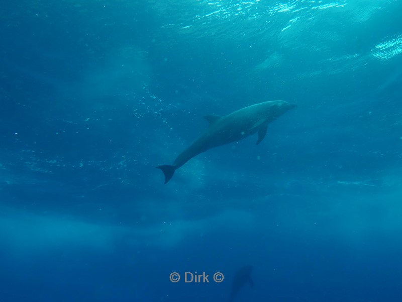 duiken galapagos atoll