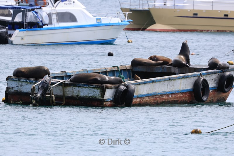 galapagos san cristobal