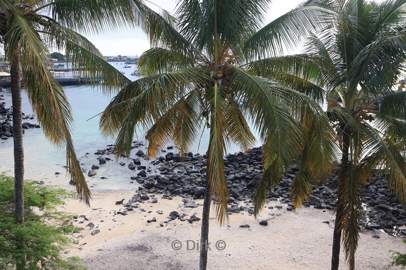 galapagos san cristobal golden bay hotel