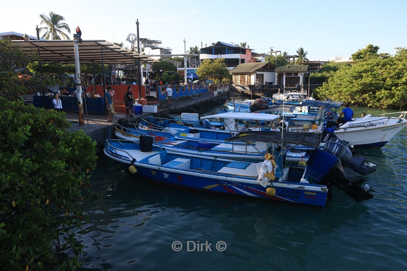 galapagos puerto ayora santa cruz