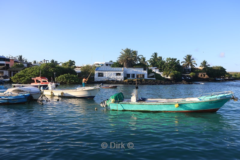 galapagos puerto ayora santa cruz