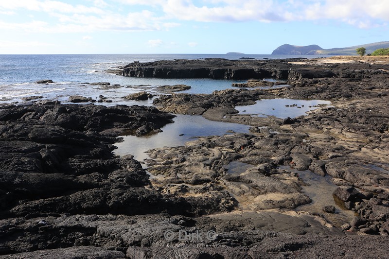 galapagos santiago island