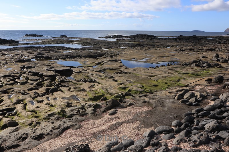 galapagos santiago island