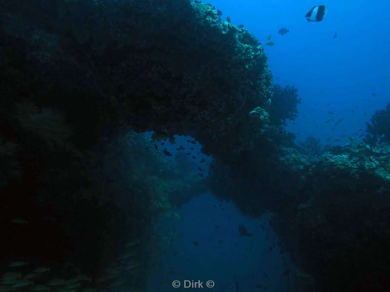 duiken malediven zuid ari atoll