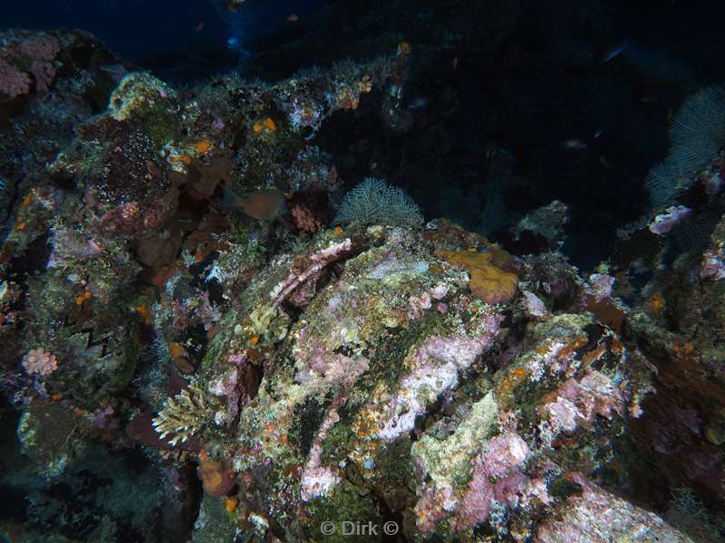 duiken malediven zuid ari atoll