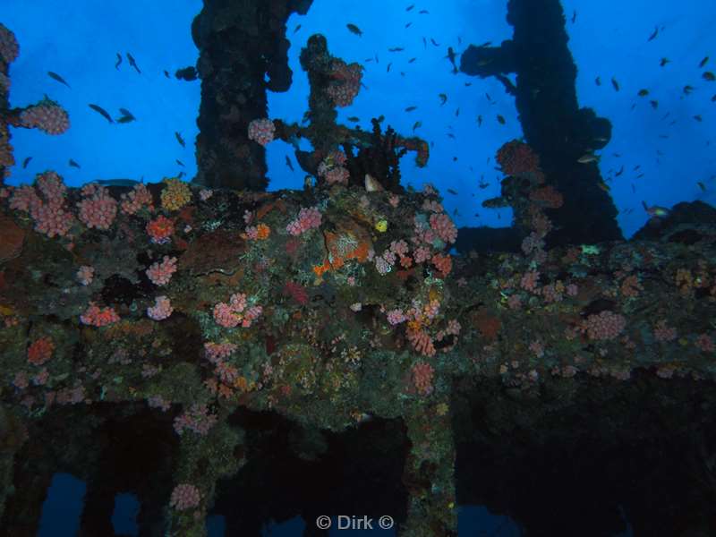 duiken malediven zuid ari atoll