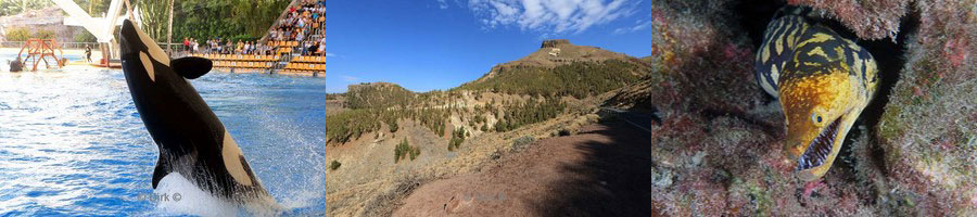 duiken tenerife canarische eilanden spanje